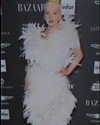 xtina Altpins Profile Picture