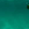 elizabrowne_ Altpins Profile Picture
