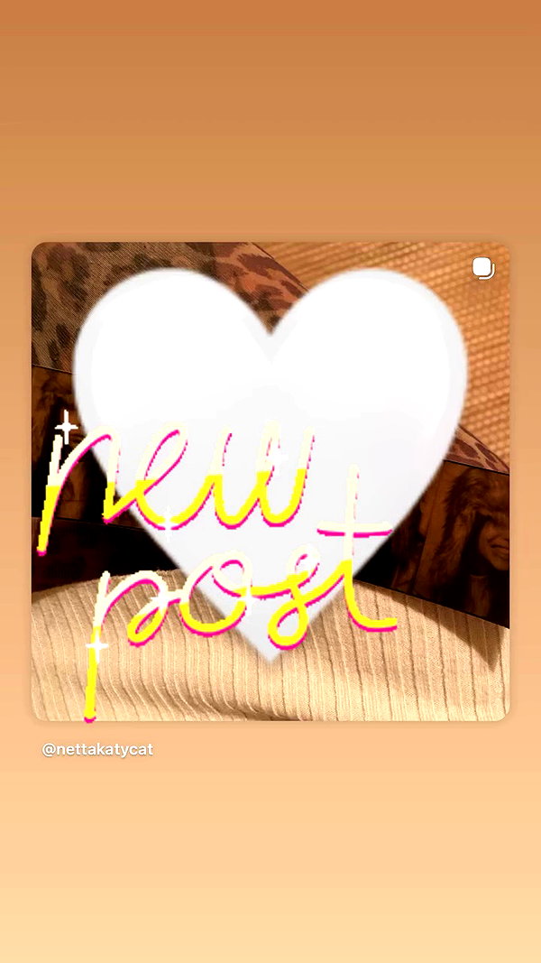 nettakatycat archive video preview