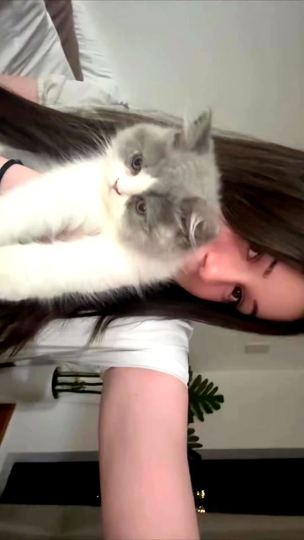 eliya.ho archive video preview