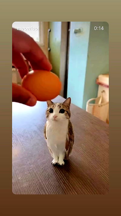 xeiyza xeiyza archive video