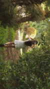 laluzone Altpins Profile Picture