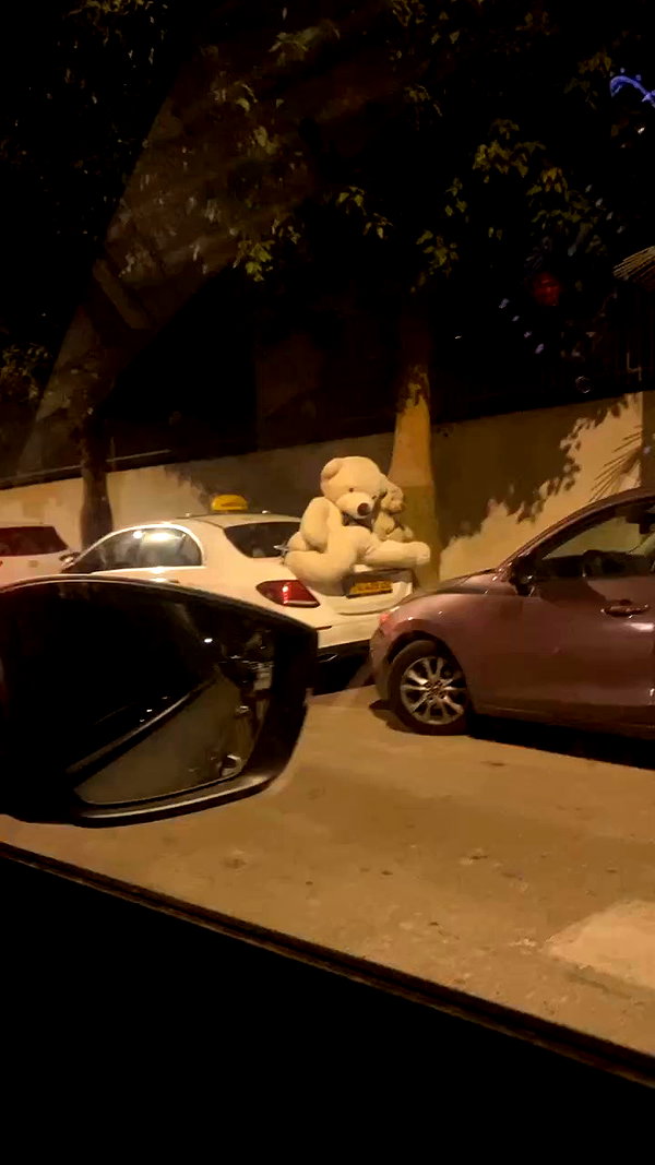 _.shelichka._ archive video preview