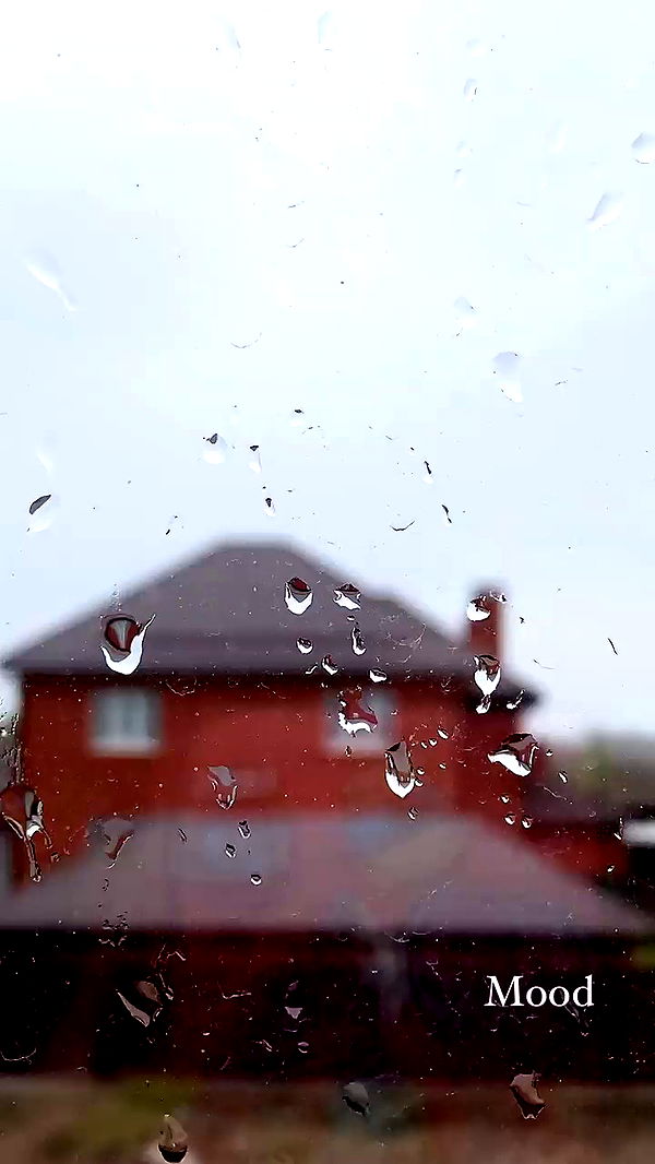 nyityam archive video preview