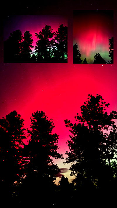 thelizzyporter thelizzyporter archive video