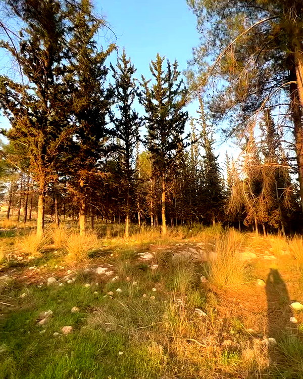 yulia.isakov archive video preview