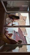 ellamwatts_ Altpins Profile Picture