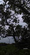 veroni22ka Altpins Profile Picture