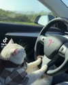 catl0verr69 Altpins Profile Picture