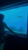 niicolemen Altpins Profile Picture