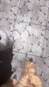 nagichan_doll Altpins Profile Picture