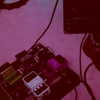 cannonstheband Altpins Profile Picture