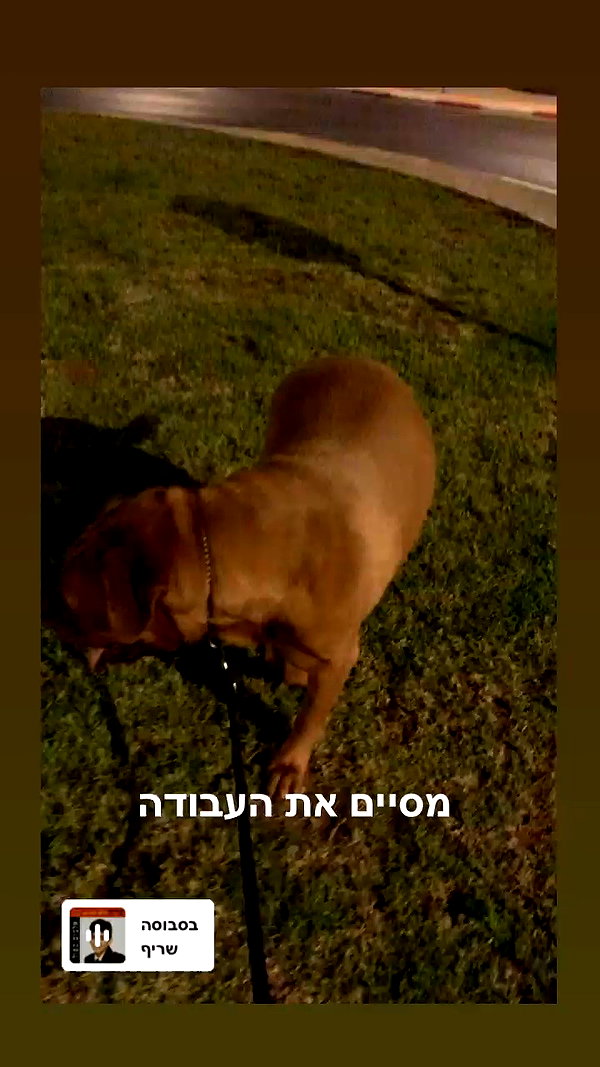 elaysolomon archive video preview