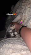 lera.genadenik Altpins Profile Picture