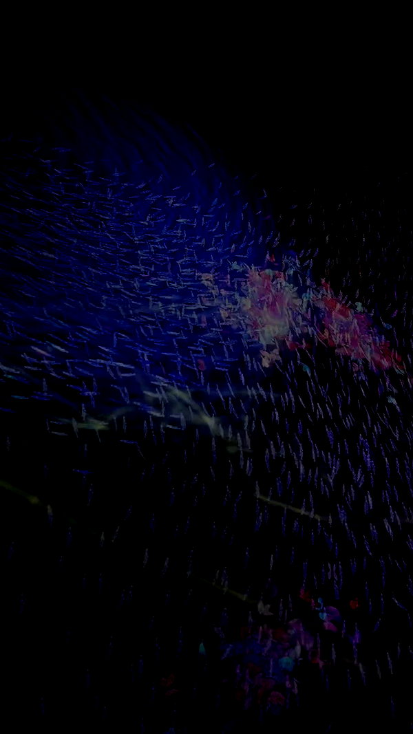 sophadophaa_ archive video preview