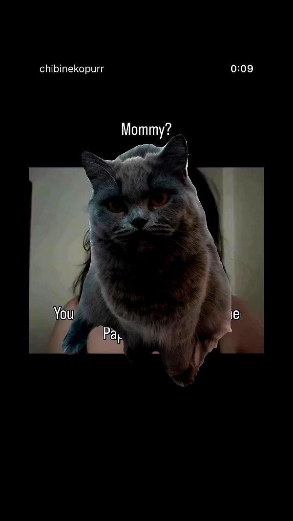 chibinekopurr archive video preview