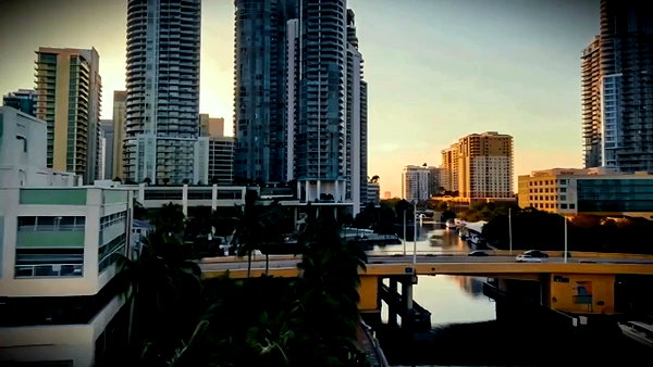 recetsocialwellness archive video preview
