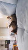 ronyida_ Altpins Profile Picture