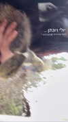 feelbetterinmysweater Altpins Profile Picture