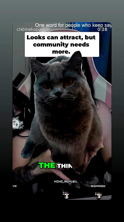 chibinekopurr chibinekopurr archive video