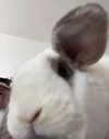 danielle.mercedie Altpins Profile Picture