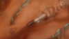 mileycyrus Altpins Profile Picture