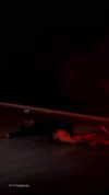 suspiria.em Altpins Profile Picture