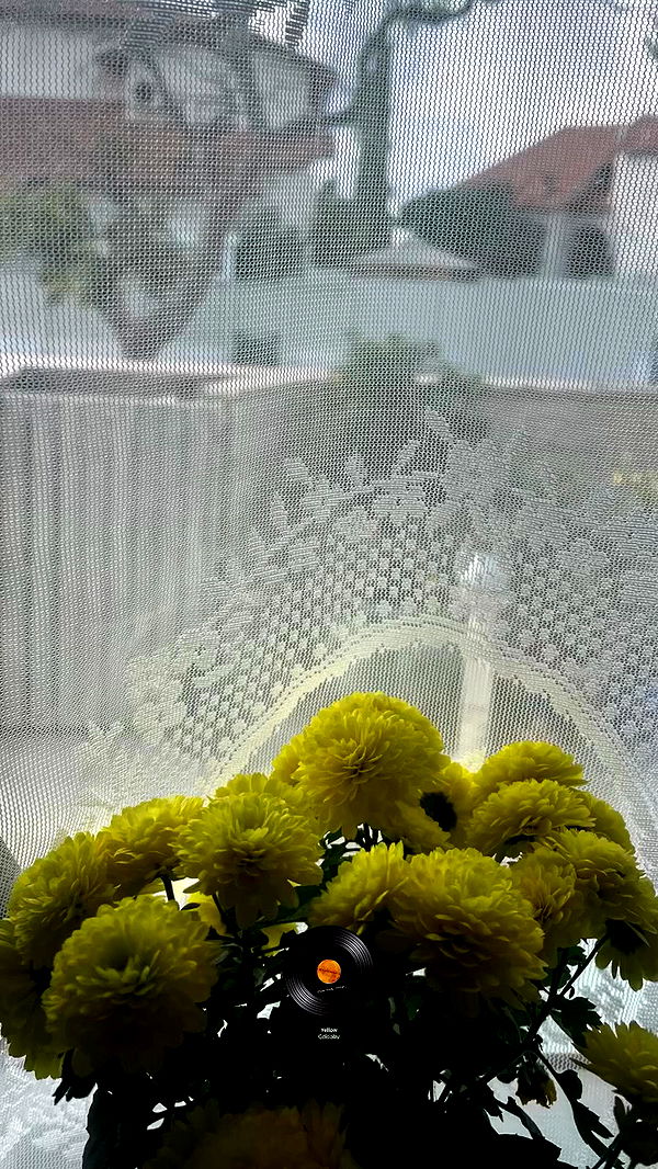 tairmar archive video preview