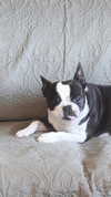rachelchaleff Altpins Profile Picture