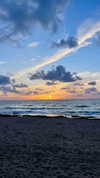 mishel_d_ Altpins Profile Picture