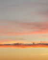 solzarubin_ Altpins Profile Picture