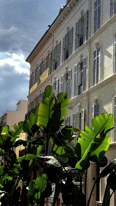 taylor.creeden taylor.creeden archive video