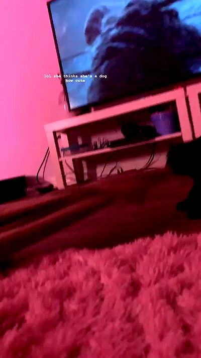 suikomuu suikomuu archive video