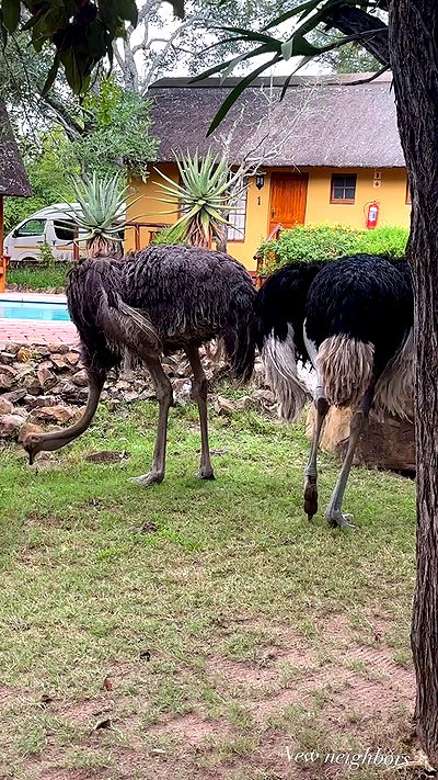 taylor.creeden taylor.creeden archive video