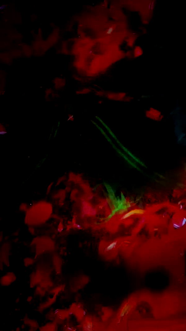 kimkardashian archive video preview