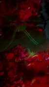 kimkardashian Altpins Profile Picture