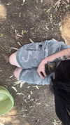 feelbetterinmysweater Altpins Profile Picture
