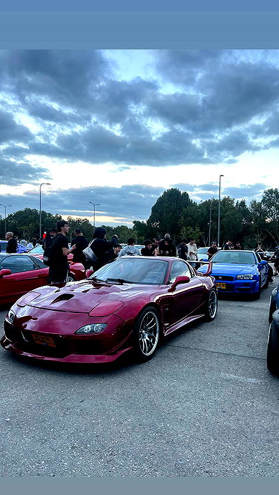 simp_for_cats_ simp_for_cats_ archive video