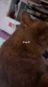 xsurio Altpins Profile Picture