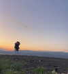libby_reut Altpins Profile Picture