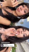 xzot1_met4xx Altpins Profile Picture