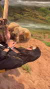 zaini.wiss Altpins Profile Picture