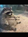 _ann.kim_ Altpins Profile Picture