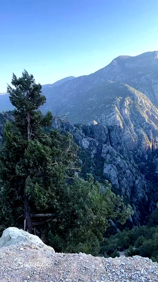 swfx_real archive video preview