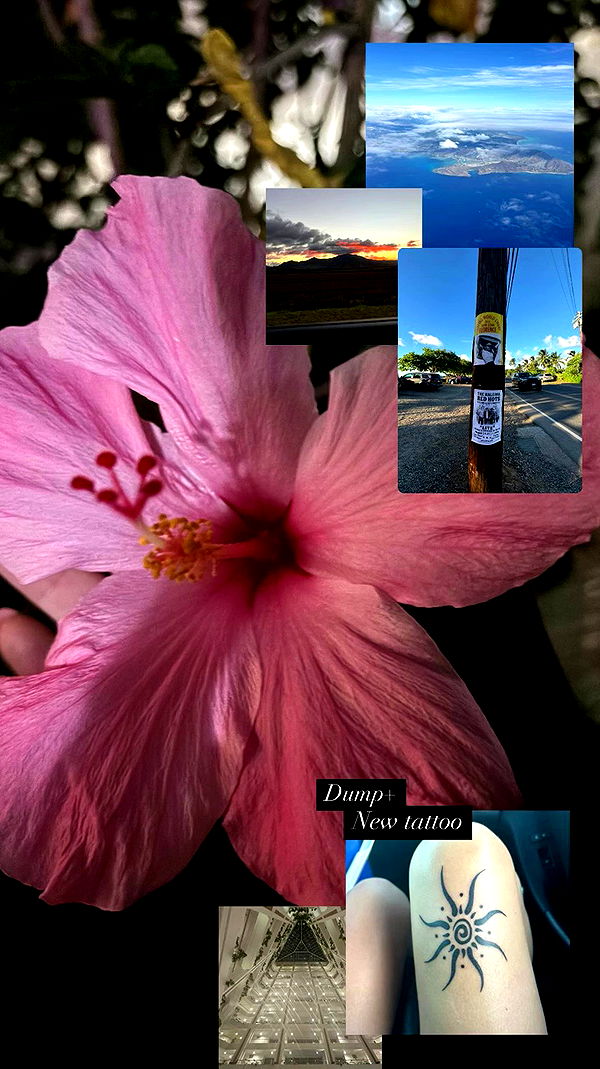 tatum.ricee archive video preview