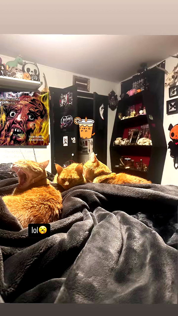 butter.on.a.poptart69 archive video preview