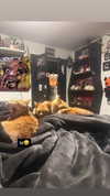 butter.on.a.poptart69 Altpins Profile Picture