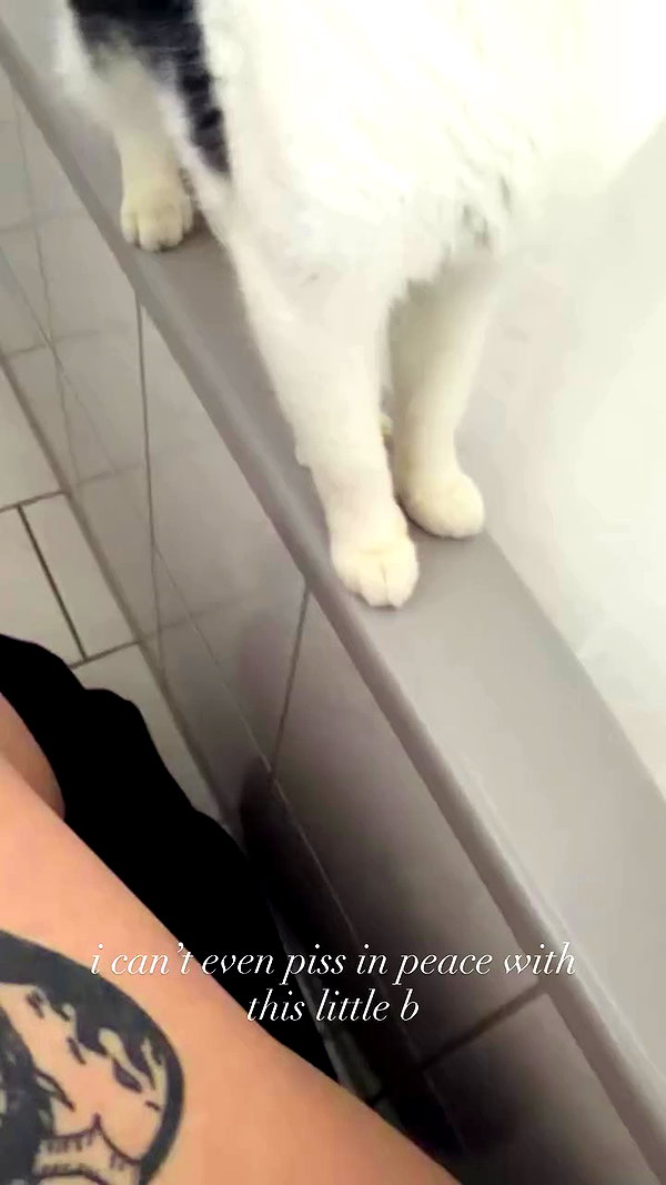 shawtysuzi archive video preview
