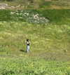adyanacovelli Altpins Profile Picture