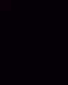 xtina Altpins Profile Picture